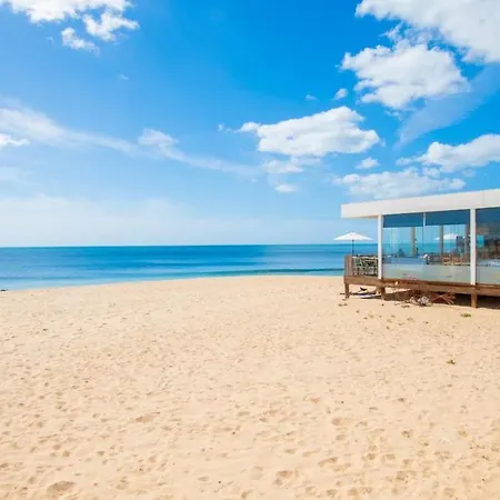 Apartment Life Happens Bayline Luxurious Oceanfront *